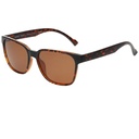 RED BULL LENTES (CARY_RX-003P)