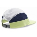 BUFF 5 PANEL GO CAP DOMUS LIME