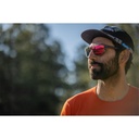 TIFOSI SIZZLE LENTES