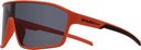 RED BULL LENTES OSCUROS (DAFT 012)